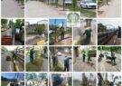 بیش از ۲۳۰۰ اصله درخت در پنج ماه گذشته توسط شهرداری لاهیجان کاشت شد‌