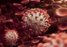 زنگ خطر شیوع یک ویروس جدید مشابه کروناویروس