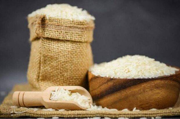 واردات برنج به طور کلی ممنوع شد