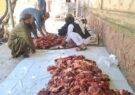 طالبان گوشت قربانی بین مردم پخش کرد/عکس