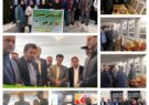 افتتاح نمایشگاه هنرهای تجسمی و صنایع دستی توانخواهان بهزیستی در شهرستان رضوانشهر