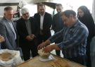 بازدید سرزده فرماندار شهرستان آستانه اشرفیه از چند نانوایی سطح شهر