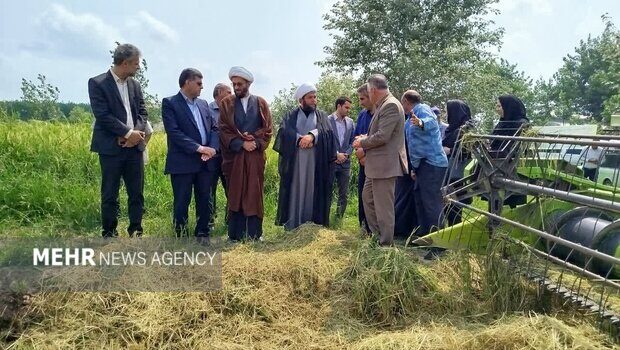 آستانه اشرفیه با مدیریت منسجم از تنش آبی عبور کرد آستانه اشرفیه با مدیریت منسجم از تنش آبی عبور کرد