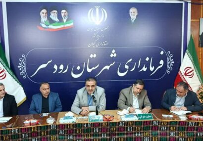 داداشی: تولیدکنندگان چای جهادگران اقتصادی کشور هستند